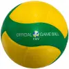 Mikasa V200W-CEV competition volleyball